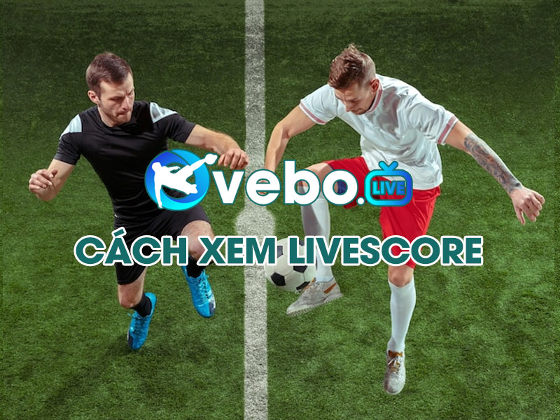 cach-xem-livescore-nhanh-va-don-gian-nhat