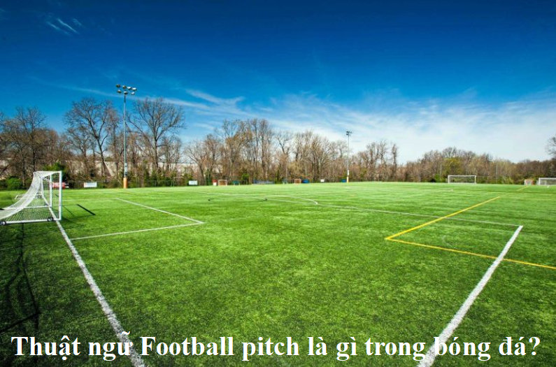 Football-pitch-la-gi