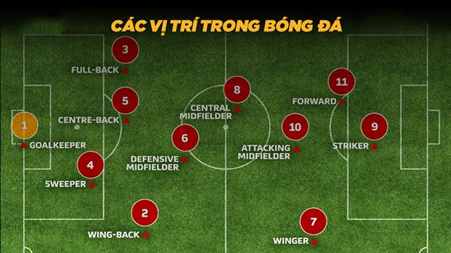 cac-vi-tri-trong-bong-da