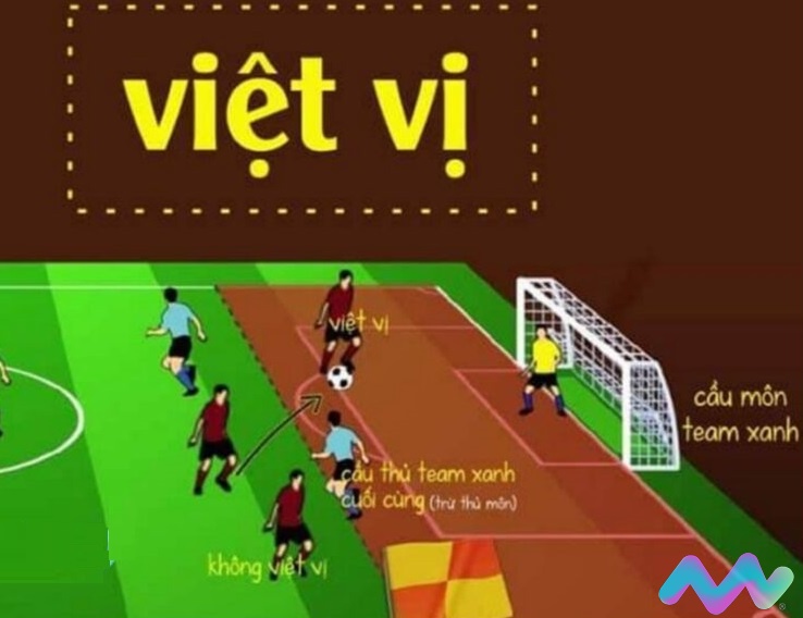 viet-vi-la-gi