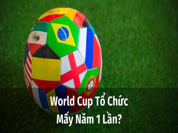 World-Cup- 2022-to-chuc-o-dau