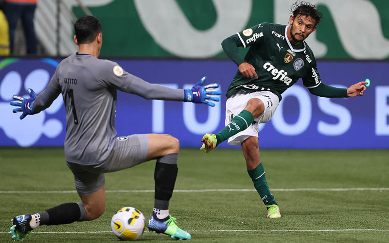 coritiba-vs-palmeiras-0400-ngay-13-6-2022-1